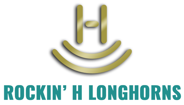 Rockin H Longhorns logo