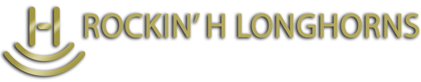 Rockin H Longhorns logo